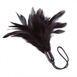 Adrien Lastic Prestige Feather Tickler Black