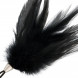 Darkness Black Feather